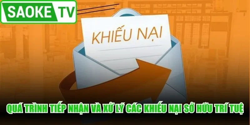 Quá trình tiếp nhận và xử lý các khiếu nại sở hữu trí tuệ